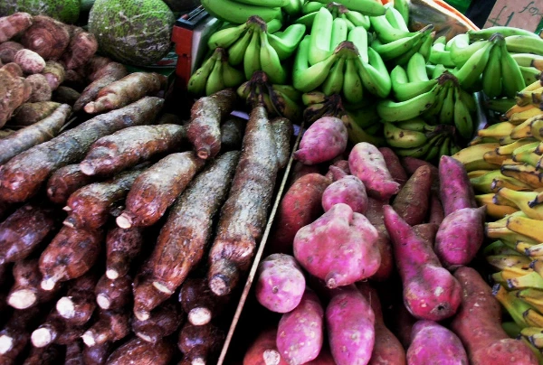 Which Country Produces the Most Roots and Tubers in the World?